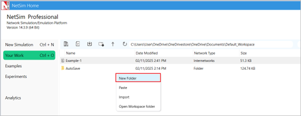Workspaces and Experiments — NetSim v14.4 Help documentation